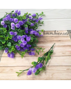 Хміль фіолетовий з довгим листям декоративний - гілка.