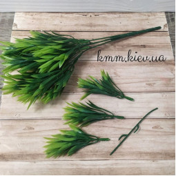 Тонкий лист пишний декоративний - гілка-foto2
