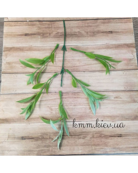Верба світло-зелена декоративна (букет, гілка) - гілка-foto2