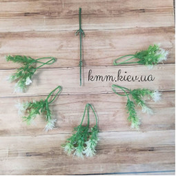 Колючий пишний лист Білий із зеленим (букет, гілка) - гілка-foto2