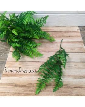 Папороть Зелена декоративна (букет, гілка) - гілка