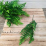 Папороть Зелена декоративна (букет, гілка) - гілка