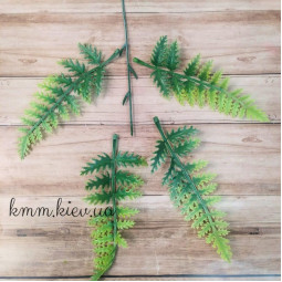 Папороть Світло-зелений декоративний (букет, гілка) - гілка-foto2