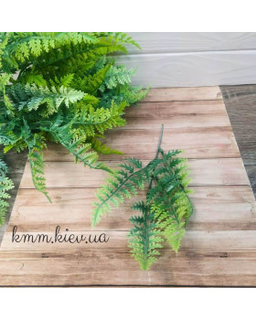 Папороть Світло-зелений декоративний (букет, гілка) - гілка