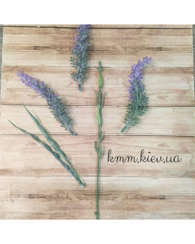 Лаванда Розкішна декоративна (букет, гілка) - гілка-foto2