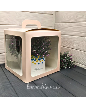 Коробка Будиночок Пудра 210х210х210мм