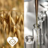ПАВ Proteol Oat (Протеол оат, овсянное ПАВ) Франция - 10г