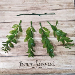 Самшит напівпрозорий Зелений Преміум - гілка-foto2