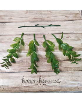 Самшит напівпрозорий Зелений Преміум - гілка-foto2