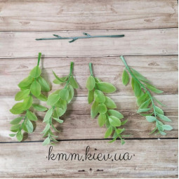 Самшит напівпрозорий Світло-зелений Преміум - гілка-foto2