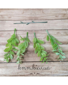 Самшит напівпрозорий Світло-зелений Преміум - гілка-foto2