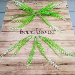 Колосок світло-зелений подвійний (5 шт.)