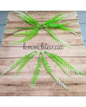 Колосок світло-зелений подвійний (5 шт.) Колосок світло-зелений подвійний (5 шт.)