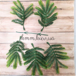 Папороть широколиста декоративна (букет, гілка) - гілка-foto2
