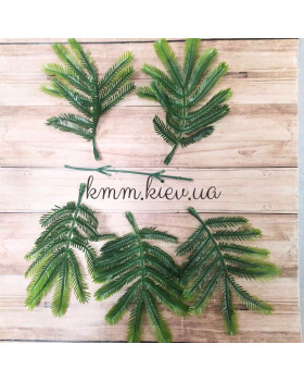 Папороть широколиста декоративна (букет, гілка) - гілка-foto2