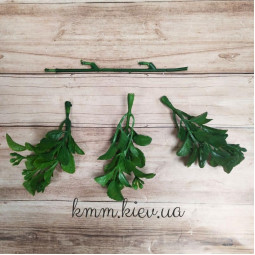 Барбарис Зелений декоративний - букет-foto2