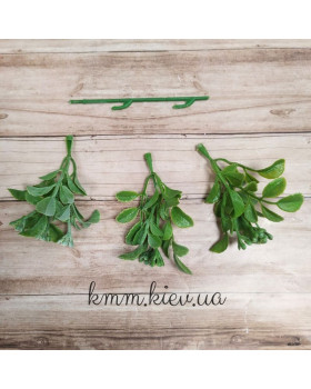 Барбарис Світло-зелений декоративний  - букет-foto2