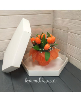 Коробка Шестигранник Біла 300х250мм із підкладкою ХДФ 3мм-foto3