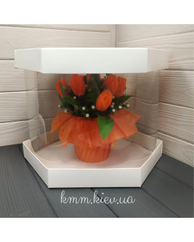 Коробка Шестигранник Біла 300х250мм із підкладкою ХДФ 3мм