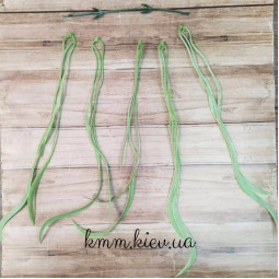 Тропічний лист довгий Світло-зелений (букет, гілка) - гілка-foto2