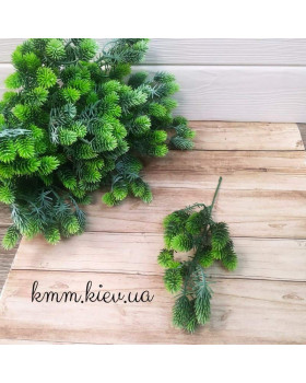 Хвоя дрібна Світло-зелена декоративна (букет, гілка) - гілка