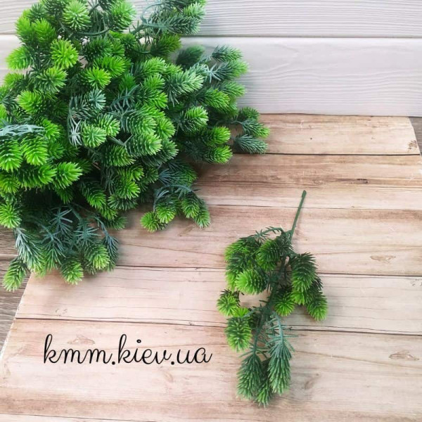 Хвоя дрібна Світло-зелена декоративна (букет, гілка) - гілка