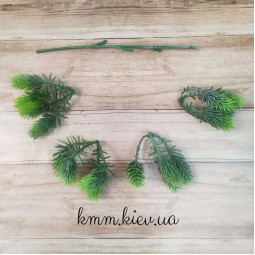 Хвоя мелкая Зеленая декоративная (букет, ветка) - ветка-foto2