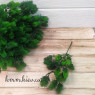 Хвоя мелкая Зеленая декоративная (букет, ветка) - ветка