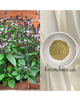 Аюрведична пудра (порошок) Туласі (Тулсі, Tulsi) Франція 10г, 25г - 10г