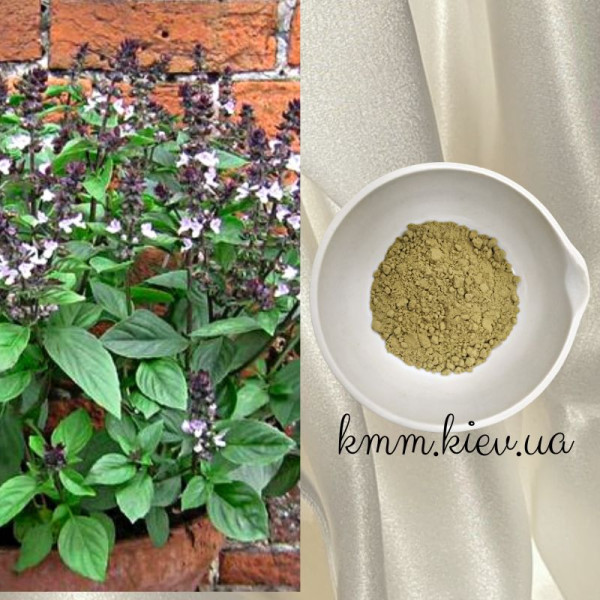 Аюрведична пудра (порошок) Туласі (Тулсі, Tulsi) Франція 10г, 25г - 10г