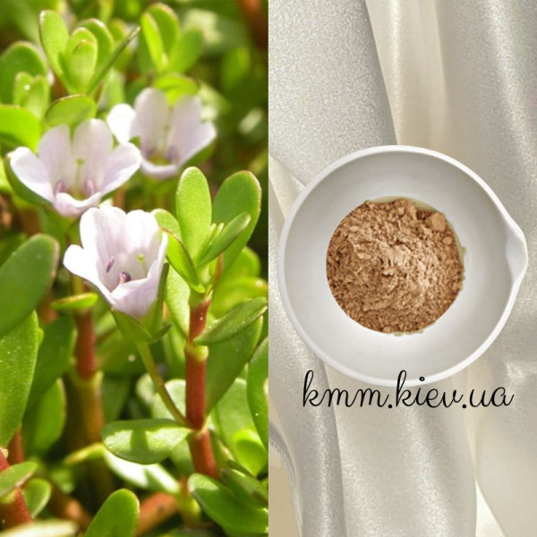 Аюрведична пудра (порошок) Брахмі (Brahmi) Франція 10г, 25г - 10г