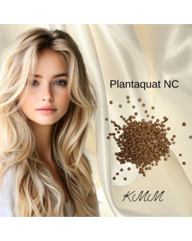  Емульгатор лецитиновий Plantaquat NC- 25 г