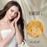Ланолин растительный Plantsoft L (смесь растительных жиров) Франция- 25г