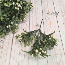  Брусниця декоративна - Білий - гілка