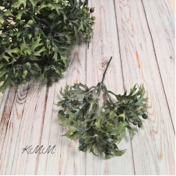  Брусниця декоративна - Зелений- гілка