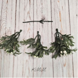 Брусника декоративная - Красный - ветка-foto2