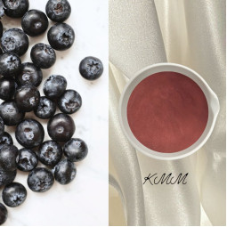 Экстракт Черники в порошке - 5г