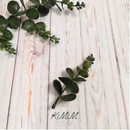 Добавка Евкаліпт Преміум 11 см - 5 шт.