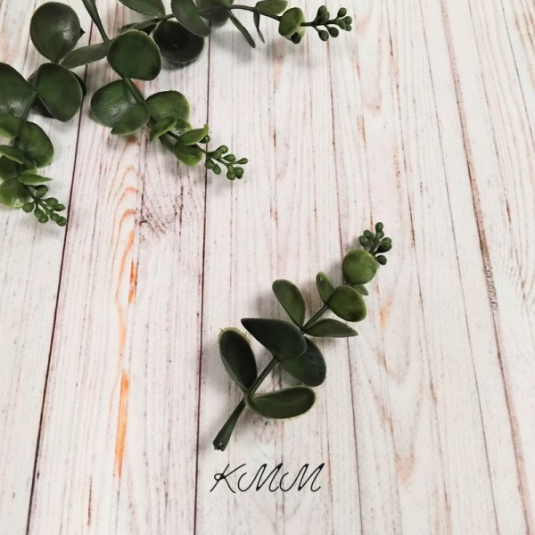 Добавка Евкаліпт Преміум 11 см - 5 шт.