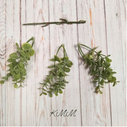 Эвкалипт мелкий Элит светло-зеленый декоративный - ветка-foto2