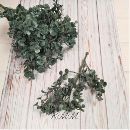 Эвкалипт мелкий Элит зеленый декоративный - ветка