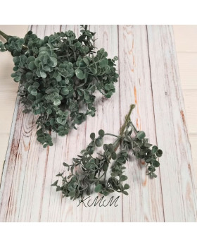 Эвкалипт мелкий Элит зеленый декоративный - ветка