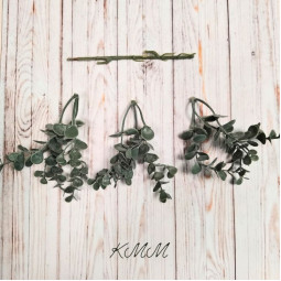 Эвкалипт мелкий Элит зеленый декоративный - ветка-foto2