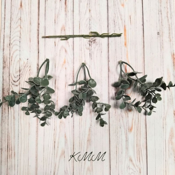 Евкаліпт дрібний Еліт зелений декоративний - гілка