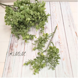 Эвкалипт мелкий Элит светло-зеленый декоративный - ветка