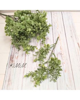 Эвкалипт мелкий Элит светло-зеленый декоративный - ветка