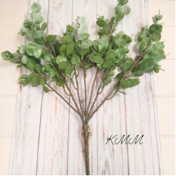 Эвкалипт Элит светло-зеленый декоративный - букет-foto2