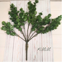 Эвкалипт Элит зеленый декоративный - букет-foto2