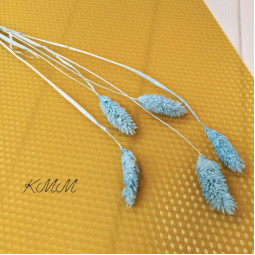 Фалярис нежно-голубой сухоцвет  - 1 шт.-foto2