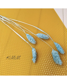 Фаляріс ніжно-блакитний сухоцвіт – 1 шт.-foto2